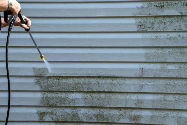 Best Property Management Cleanouts  in Gentry, AR